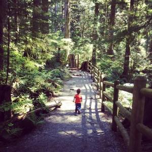 Running wild on our hike at Lynn Valley!